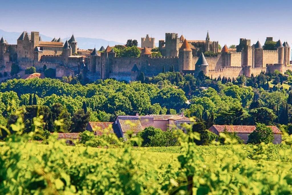 Belle Demeure De Caractere Villa Carcassonne Exterior photo